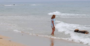 perro en la playa