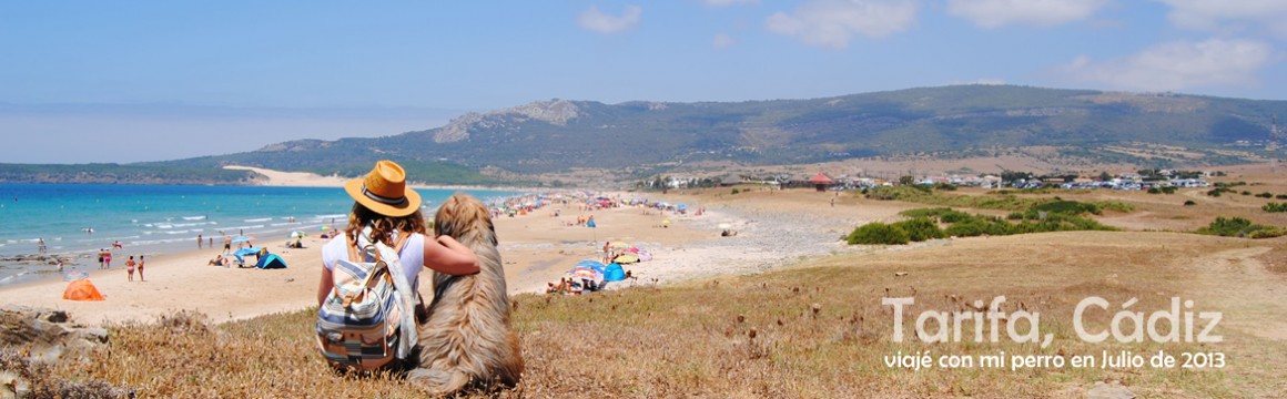 viaje a tarifa con mi perro